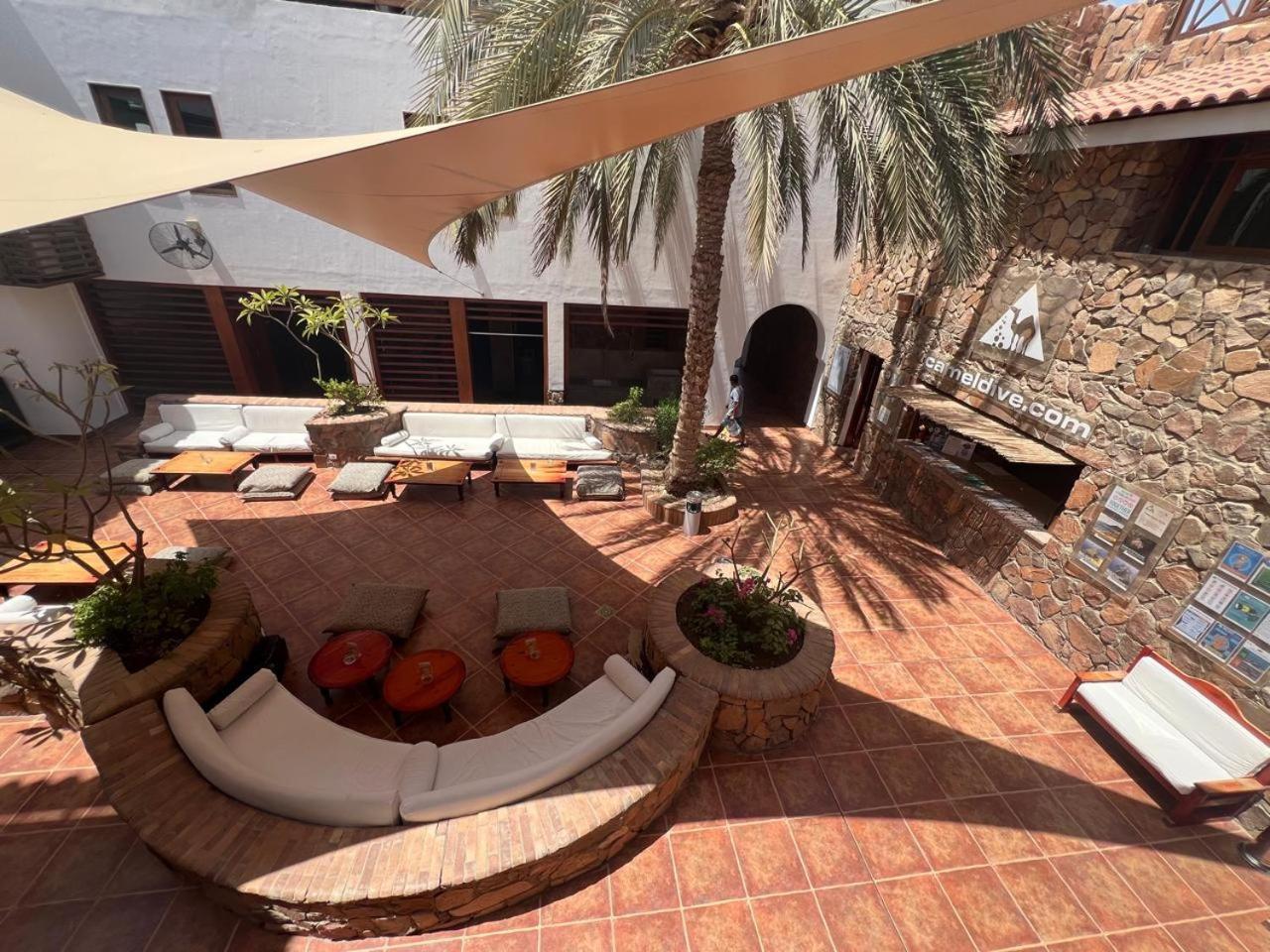 Camel Dive Club & Hotel - Boutique Hotel ชาร์มเอลชีค ภายนอก รูปภาพ